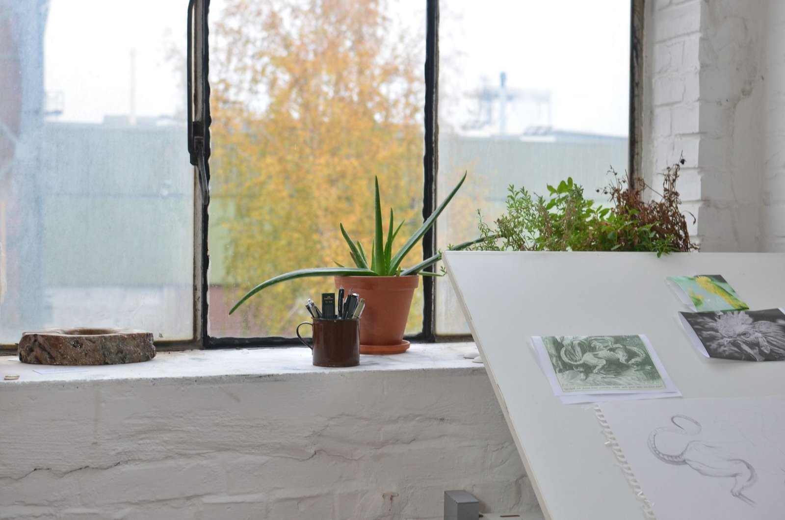 Interior of art studio with green plants near table with pictures and sketch