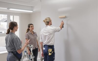 Peinture en bâtiment Réseaux Sociaux - contexte
